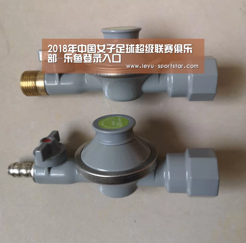 2018年中国女子足球超级联赛俱乐部-乐鱼登录入口(图4) 乐鱼体育赛事直播