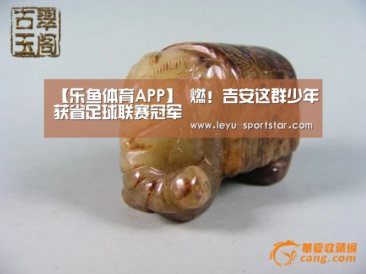 【乐鱼体育APP】
燃!吉安这群少年获省足球联赛冠军(图2) 乐鱼体育APP
