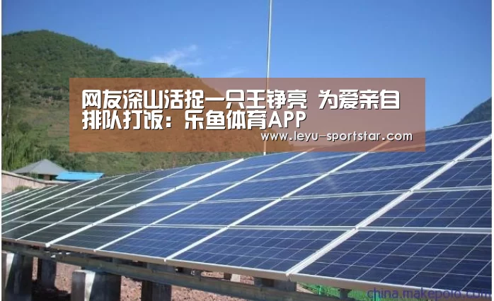 网友深山活捉一只王铮亮 为爱亲自排队打饭:乐鱼体育APP(图3) 乐鱼直播